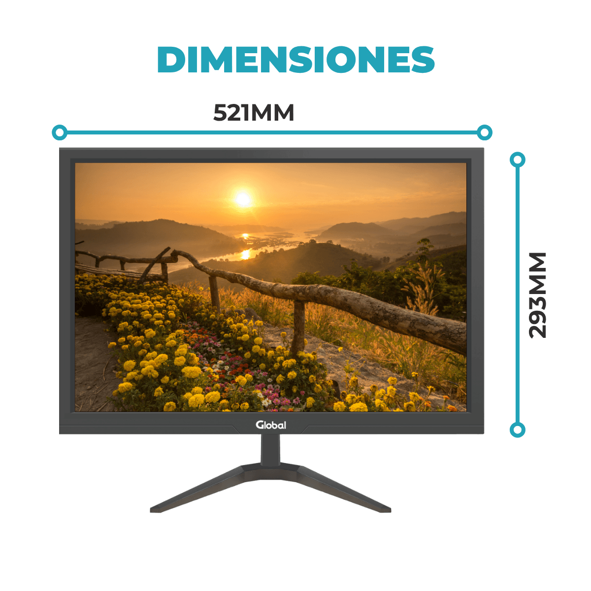 Monitor GLOBAL Moni-Office 23.6" - Imagen 3